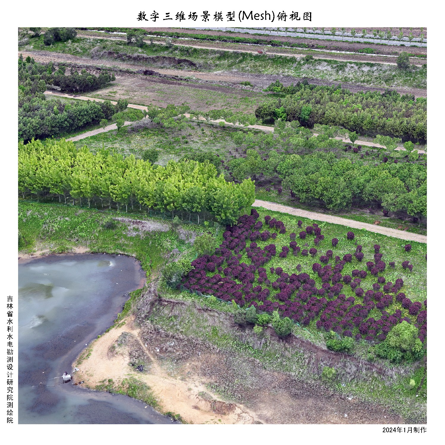 A08数字三维场景模型(Mesh)俯视图(1).jpg