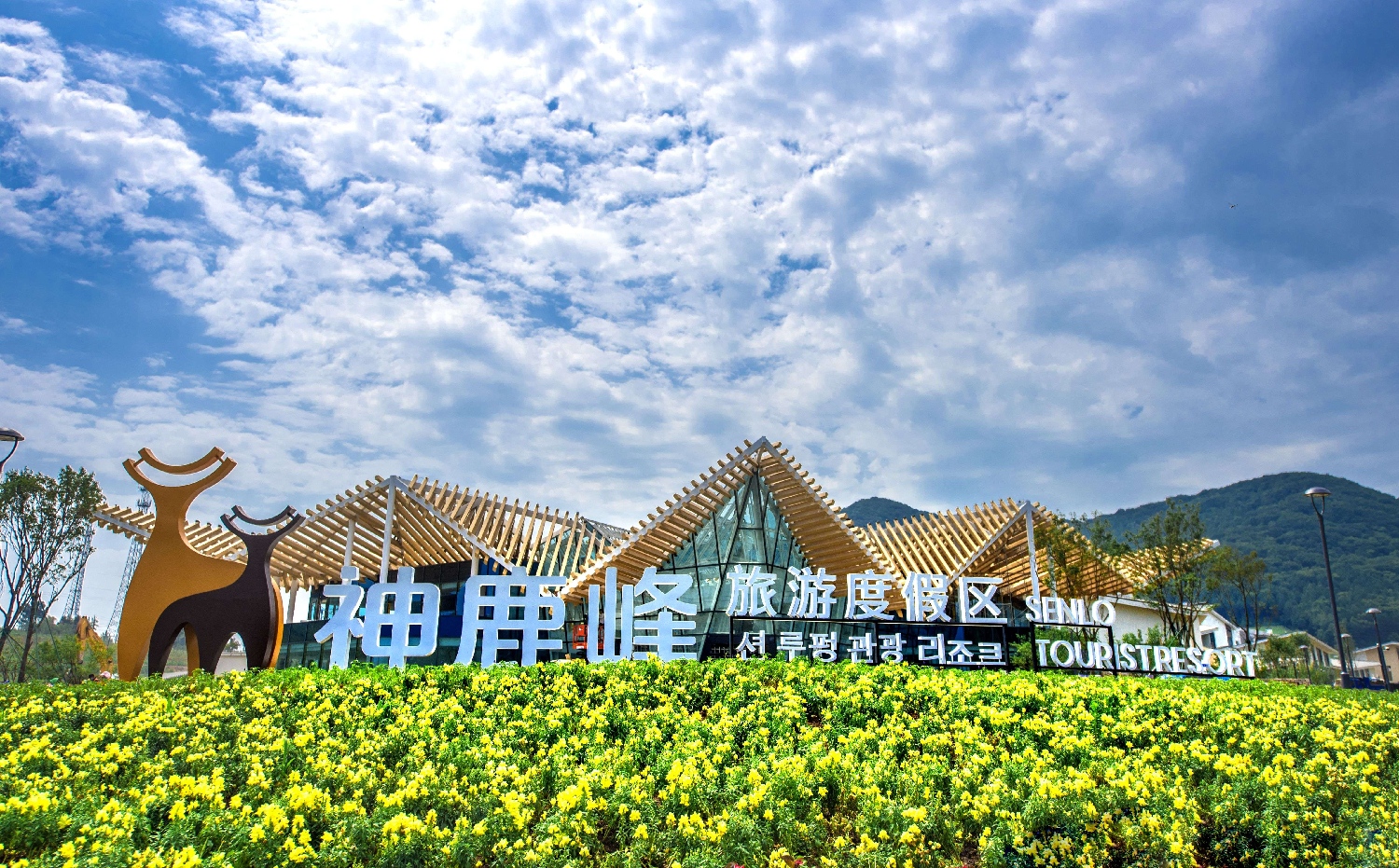 06景区门头实景 (1).jpg
