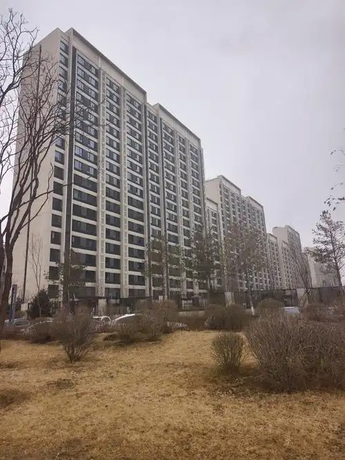 003-实景照片2.JPG
