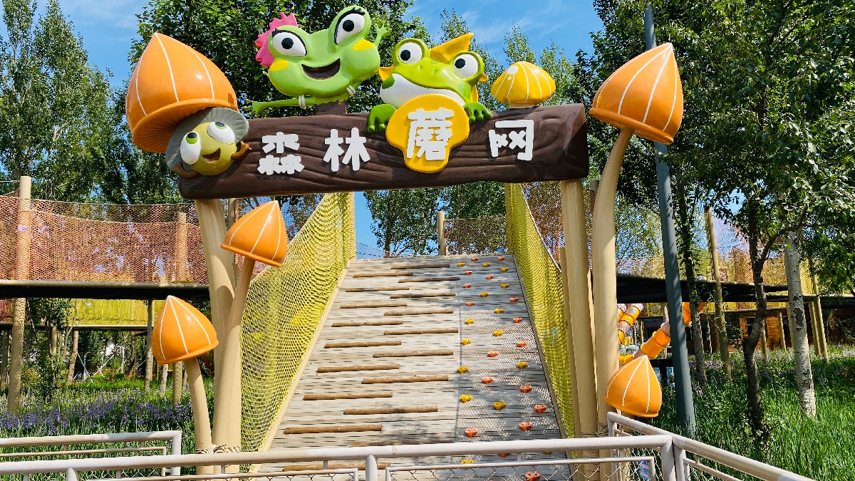 1784100064124142.jpg 010-童乐岛绳网乐园.jpg